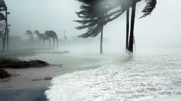 Huracan2 Huracán Lorena Impactará con Lluvias en 6 Estados