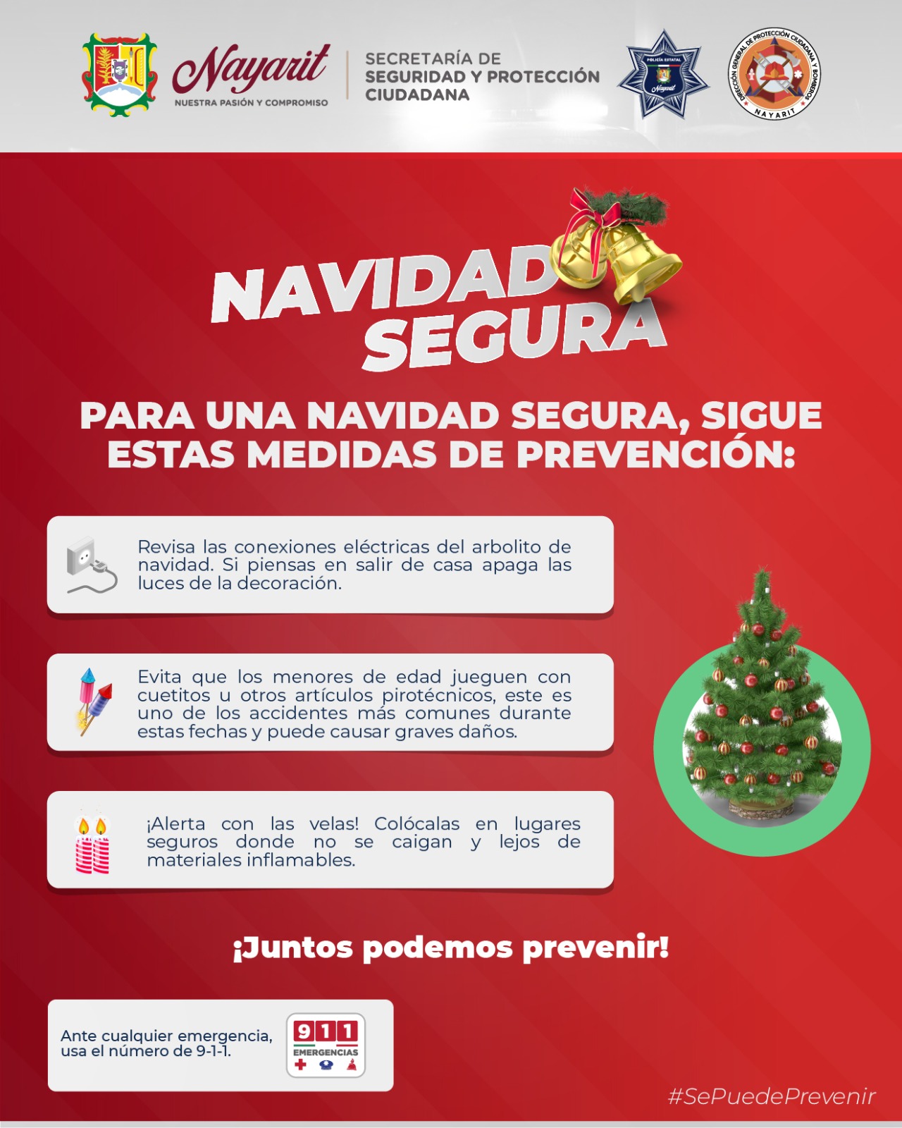 Descripción de la imagen