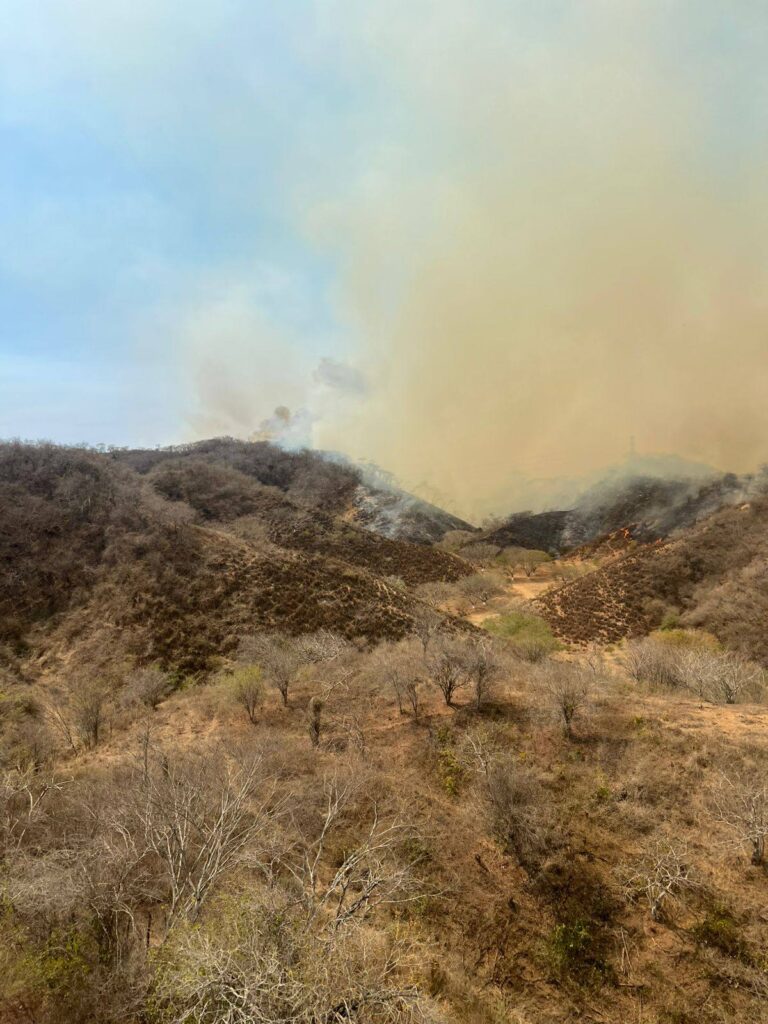 651271778_1332664315563406_5579558244202312178_n-768x1024 Refuerza Gobierno de Nayarit Atención a Incendio Forestal en Bahía de Banderas