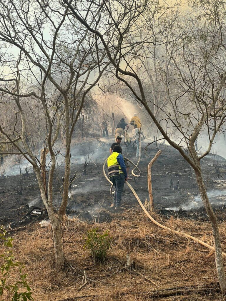 652569652_1332664395563398_5079991039631500723_n-768x1024 Refuerza Gobierno de Nayarit Atención a Incendio Forestal en Bahía de Banderas
