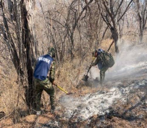 653786834_1333549978808173_5039720934498479309_n Mesa de Seguridad Refuerza su Presencia Operativa en el Estado