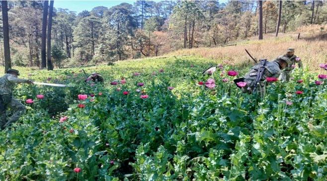 654210627_1333550005474837_6483901885014171352_n Mesa de Seguridad Refuerza su Presencia Operativa en el Estado
