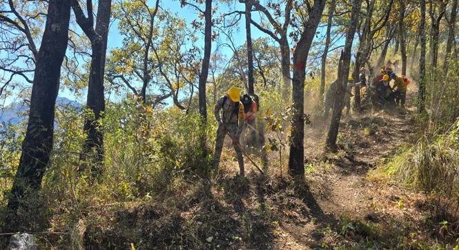 654216255_1333550068808164_5787383353892472241_n Mesa de Seguridad Refuerza su Presencia Operativa en el Estado