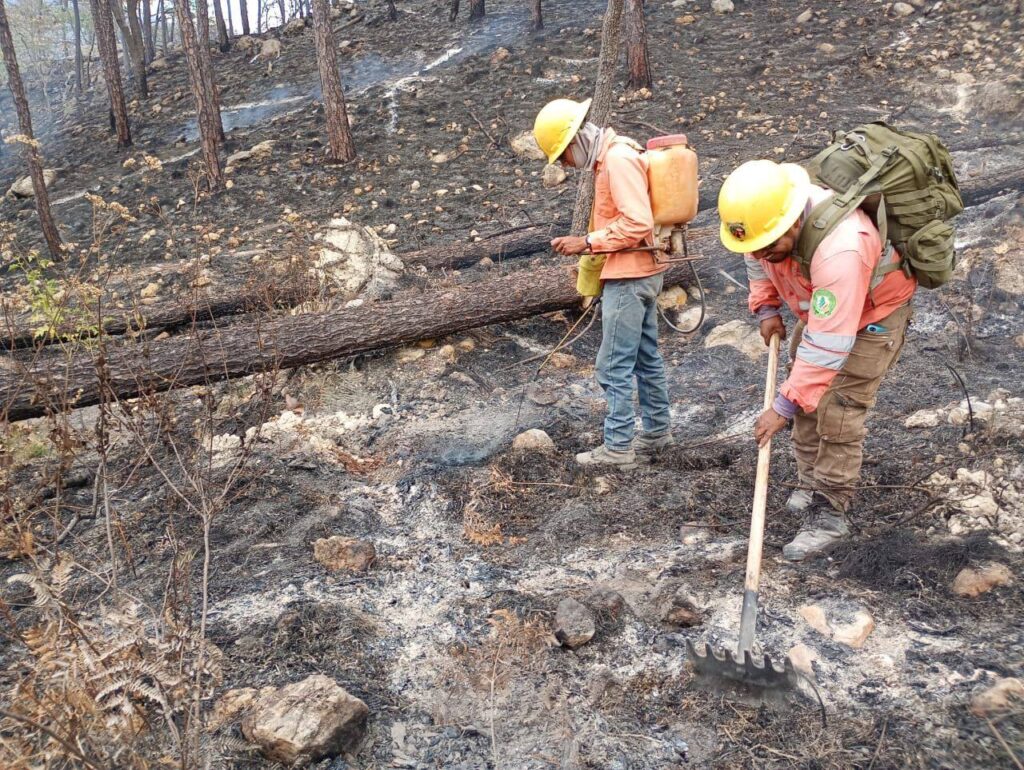 698558202_1380628710766966_73728219008204903_n-1024x770 Controlan Incendio Forestal Interestatal en “Loma de los Lobos”, en Ixtlán del Río
