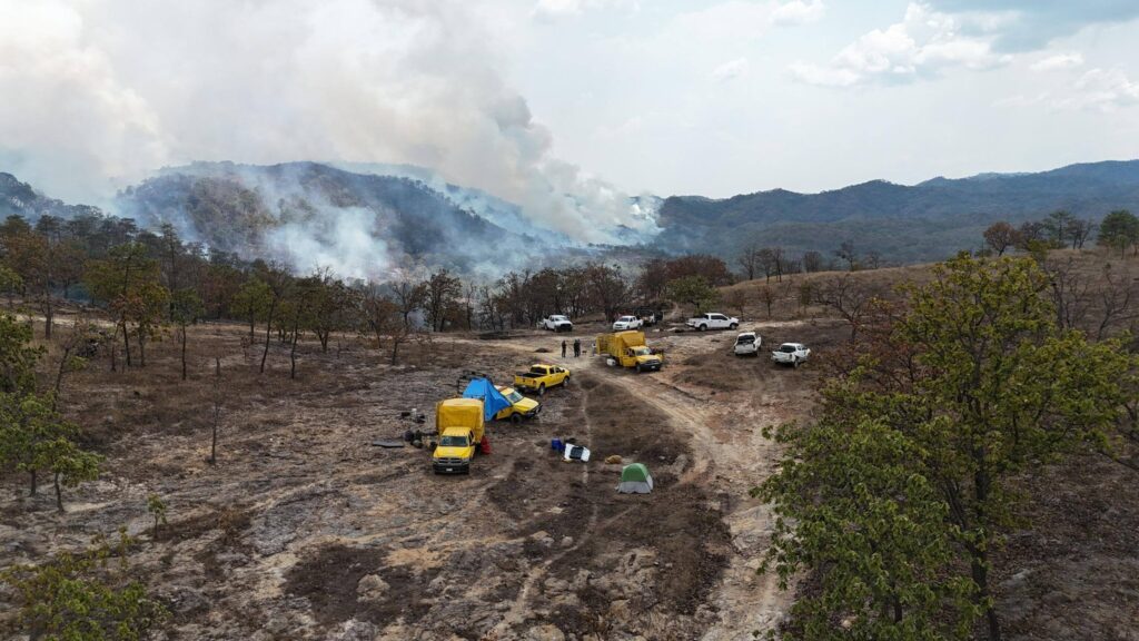 699158471_1380628644100306_6685415001941370221_n-1024x576 Controlan Incendio Forestal Interestatal en “Loma de los Lobos”, en Ixtlán del Río