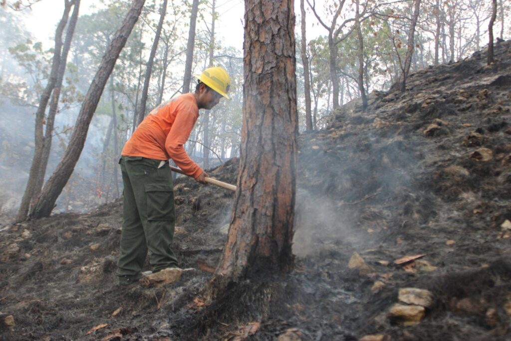 699291826_1380628590766978_181829627389326498_n-1024x683 Controlan Incendio Forestal Interestatal en “Loma de los Lobos”, en Ixtlán del Río