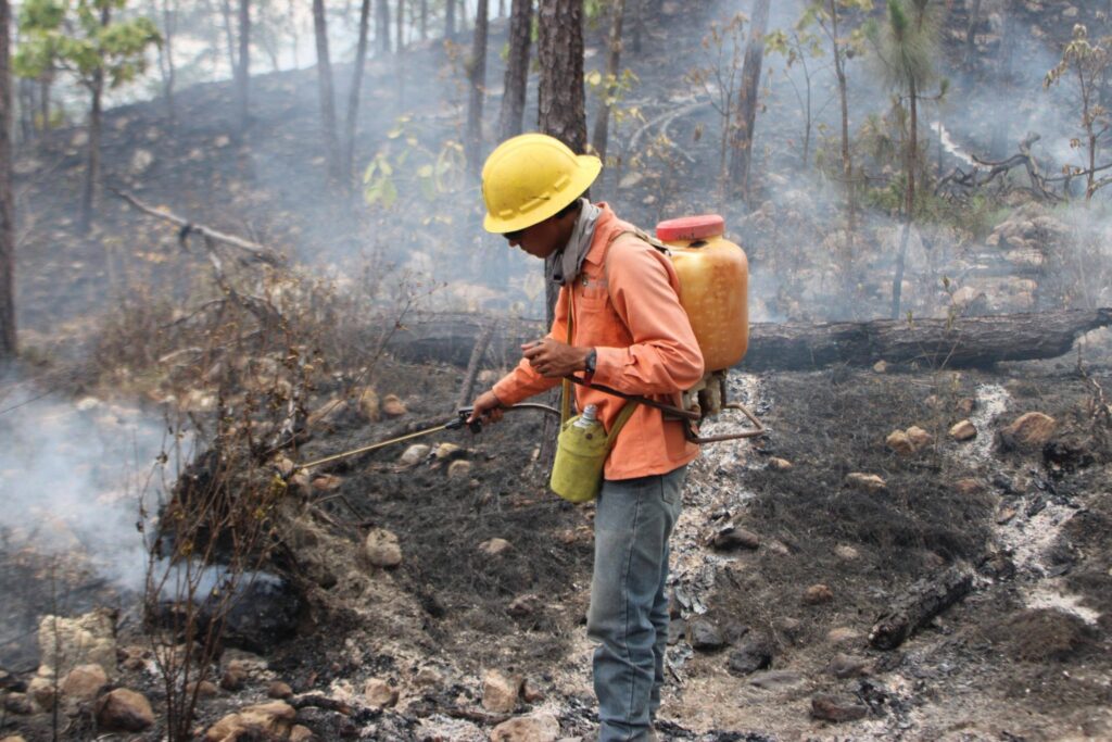 700669583_1380628537433650_137995502093692446_n-1024x683 Controlan Incendio Forestal Interestatal en “Loma de los Lobos”, en Ixtlán del Río