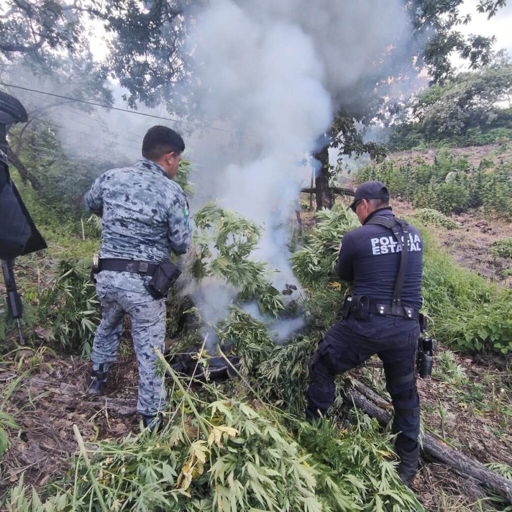 795946043_1479862027510300_2020321208284508734_n-1024x1024 Resultados en Operativos Coordinados en Siete Municipios de Nayarit